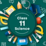 Havellsson Academic Generous Study(HAGS) AMBITION BATCH