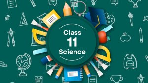 Class-11-Science